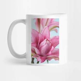 Lilium  Roselily Isabella  Double Oriental hybrid Lily Mug